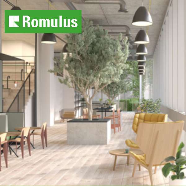 Romulus AV installation by ITSL Group
